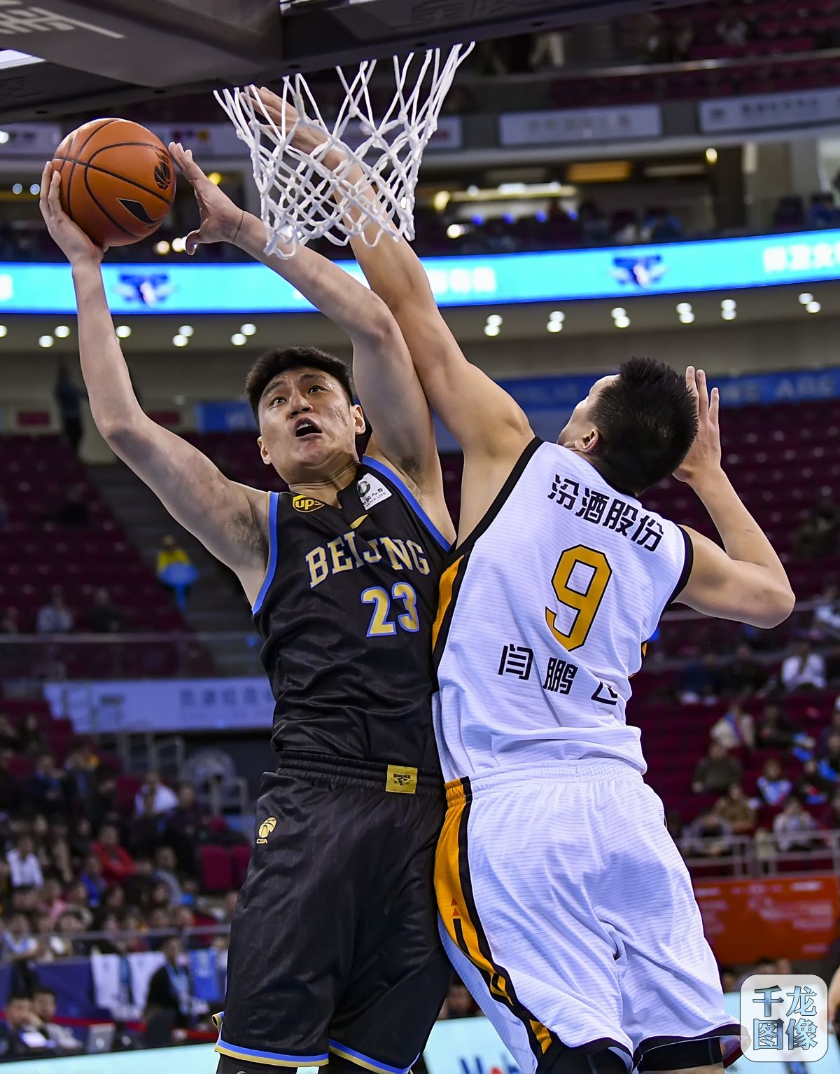 竞技形态的 竞技形态的